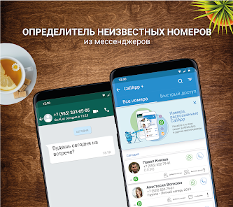 CallApp - скриншот 3