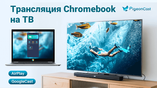 PigeonCast：Mirror via AirPlay - скриншот 12