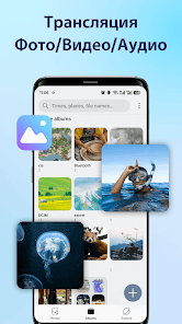 PigeonCast：Mirror via AirPlay - скриншот 4
