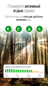 Прозрачные часы и погода - Pro - скриншот 4