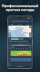 Windy.app - скриншот 1