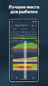 Windy.app - скриншот 3