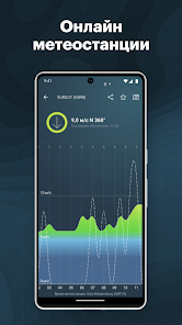 Windy.app - скриншот 5