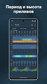Windy.app - скриншот 7